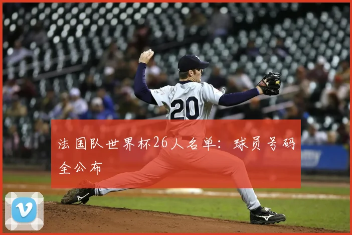 法国队世界杯26人名单:球员号码全公布