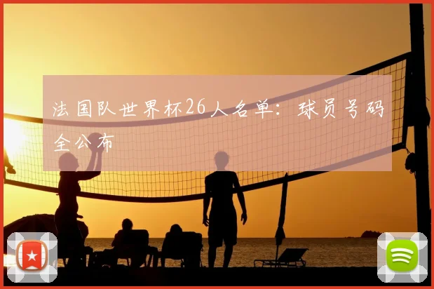 法国队世界杯26人名单:球员号码全公布